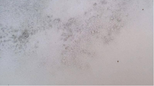 墻面老發(fā)霉？別擔(dān)心，昆明膩子粉廠家有妙招