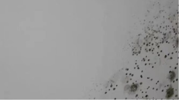 還在為墻體發(fā)霉而發(fā)愁？昆明涂料廠家教您學會這幾招，輕松解決！